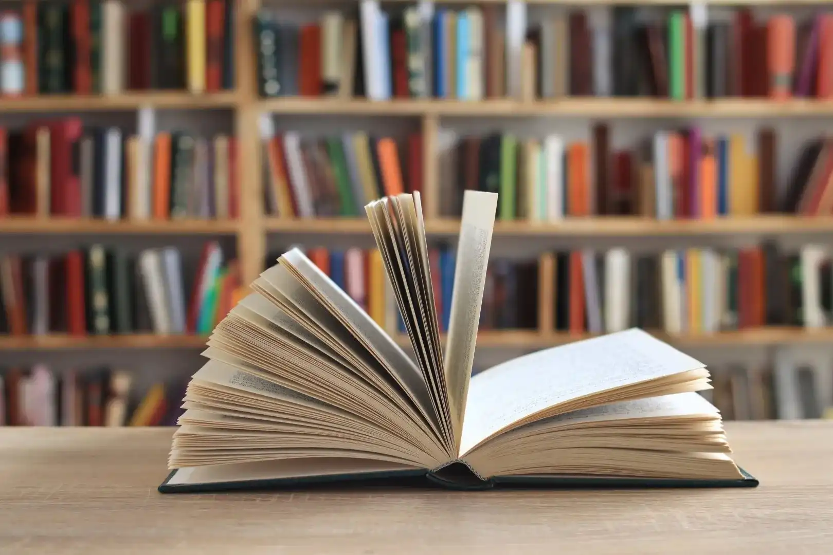 Complete book publishing services by Maskin Book Publishing